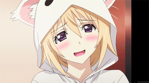10,000 Anime Fans Voted for Female Supporting Characters They Would like to See as the Protagonist haruhichan.com Charlotte Dunois Infinite Stratos