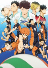 AniFavs Spring 2014 Anime Rankings-Rankings---Haikyuu