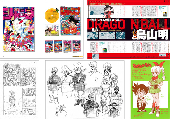 Dragon Ball 30th Anniversary Super History Book anime