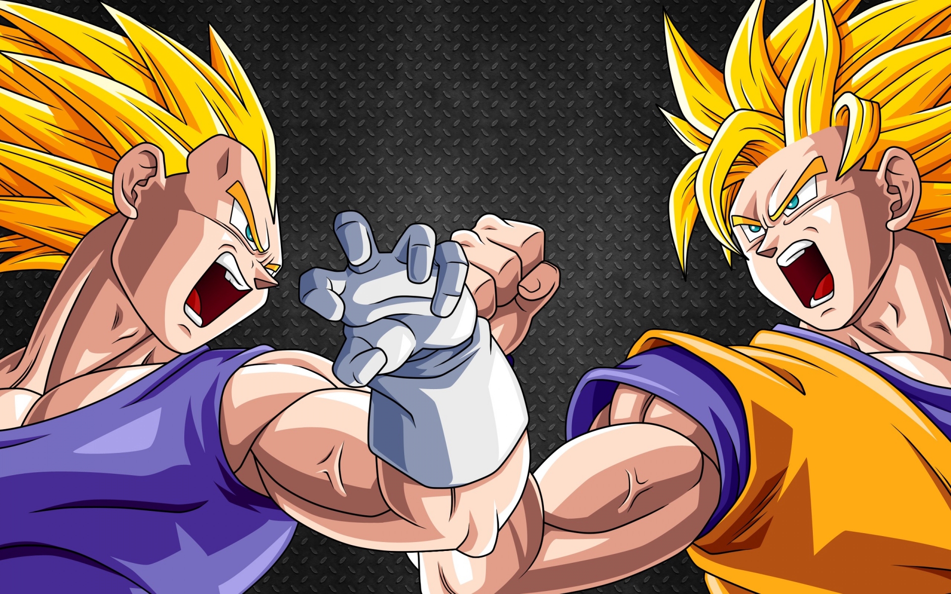 Goku and Vegeta_Haruhichan.com_