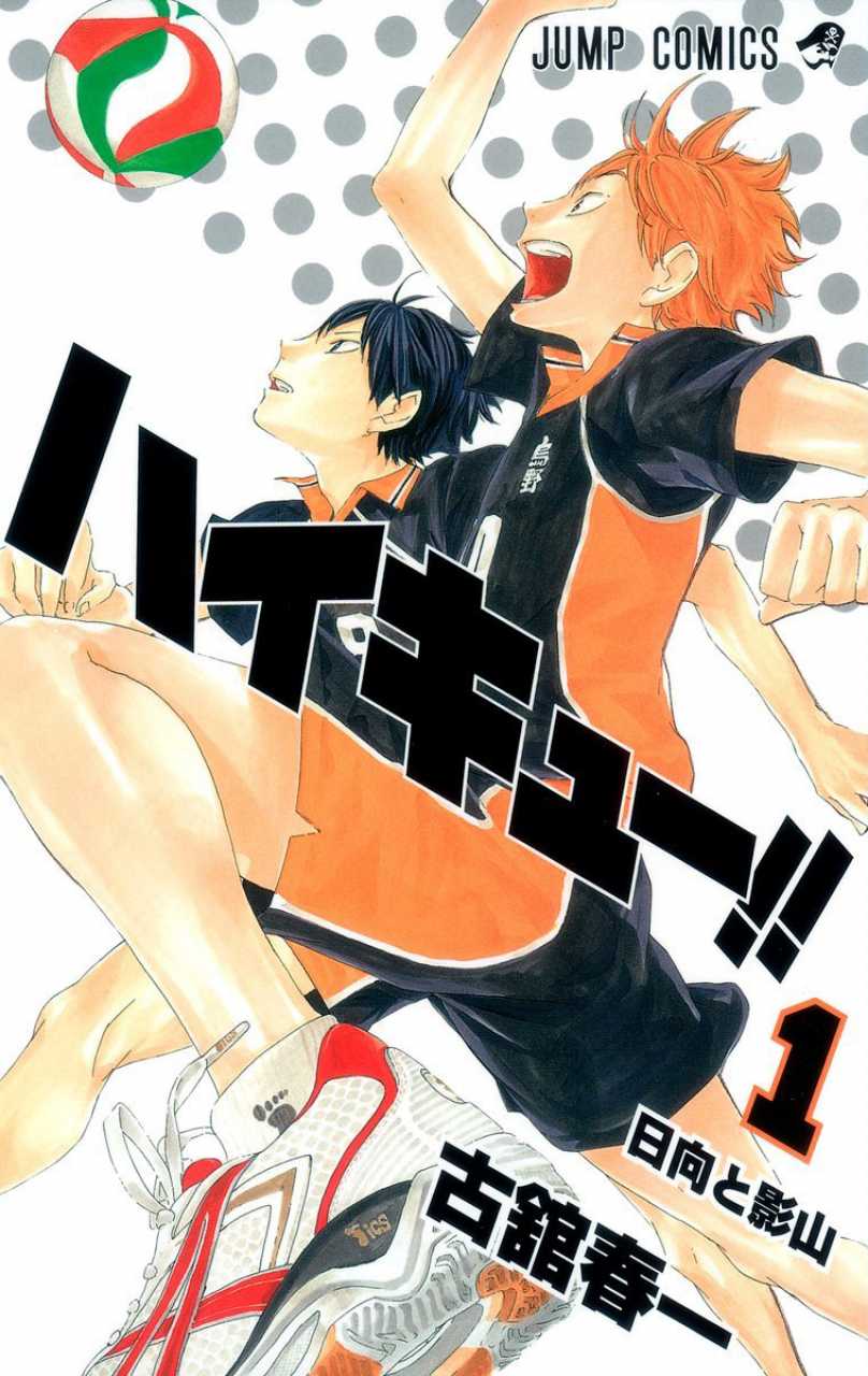 Haikyuu!! manga cover volume 1