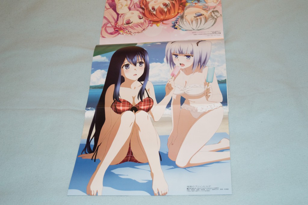 Haruhichan.com Megami MAGAZINE July 2014 posters ajiki_kei bikini cleavage feet gokukoku_no_brynhildr kuroha_neko swimsuits tokou_nanami 2