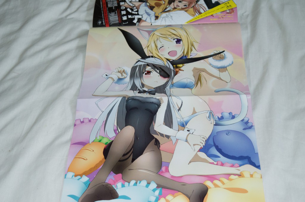 Haruhichan.com Megami MAGAZINE June 2014 posters animal_ears bikini bunny_ears bunny_girl charlotte_dunois eyepatch infinite_stratos kondou_natsuko laura_bodewig 1