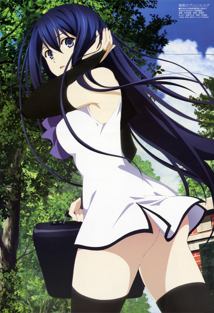 Haruhichan.com Megami MAGAZINE May 2014 posters brynhildr in darkness kuroha neko 2