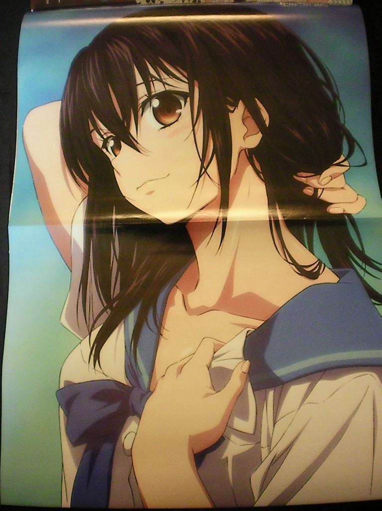 Haruhichan.com Megami MAGAZINE May 2014 posters strike the blood himeragi yukina