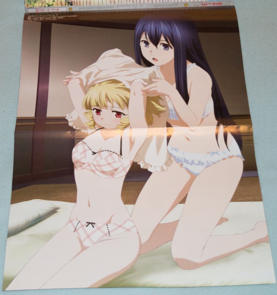 Haruhichan.com Megami magazine August 2014 posters ajiki_kei bra gokukoku_no_brynhildr kuroha_neko pantsu tachibana_kana undressing anime