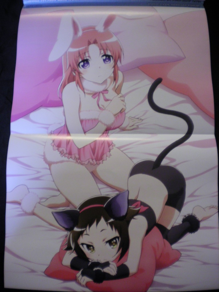 Haruhichan.com NyanType April 2014 posters Mikakunin de Shinkoukei