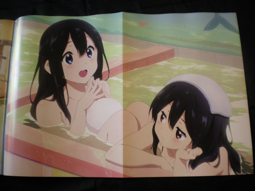 Haruhichan.com NyanType April 2014 posters tamako market kitashirakawa anko kitashirakawa tamako