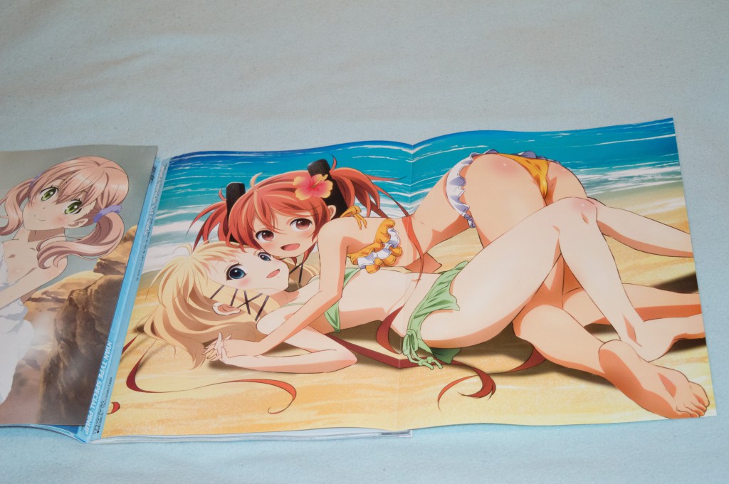 Haruhichan.com NyanType July 2014 posters aihara_enju ass bikini black_bullet loli swimsuits tina_sprout 2