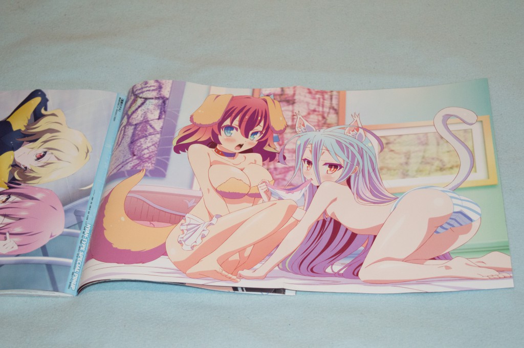 Haruhichan.com NyanType July 2014 posters  animal_ears ass cleavage inumimi nekomimi no_game_no_life nopan pantsu shimapan shiro_(no_game_no_life) stephanie_dora tail topless 2