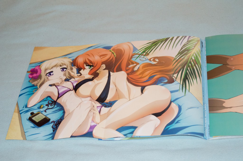 Haruhichan.com NyanType July 2014 posters ass bikini cleavage lucca_saarinen pointy_ears rebecca_randall seikoku_no_dragner swimsuits 2