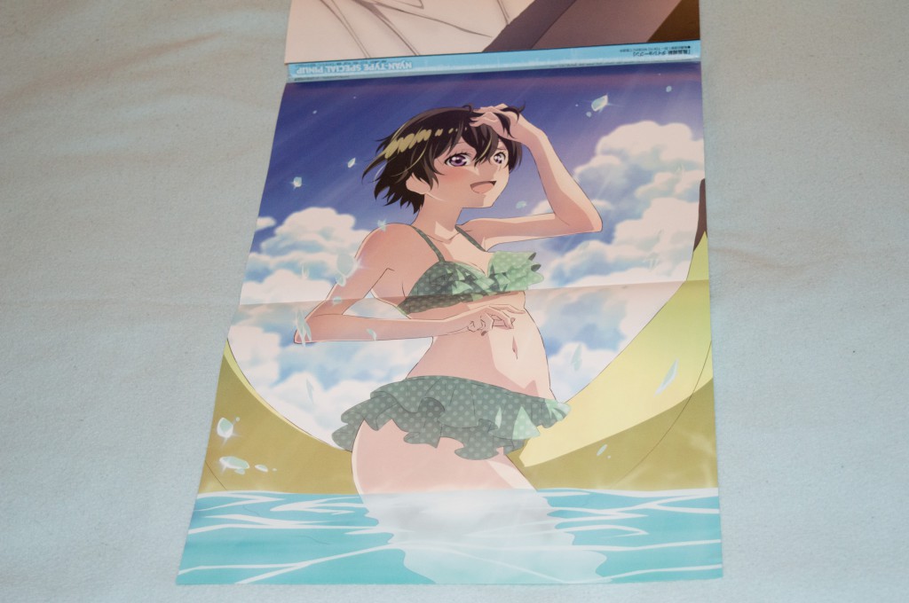 Haruhichan.com NyanType July 2014 posters bikini bokura_wa_minna_kawaisou cleavage kawai_ritsu swimsuits 2