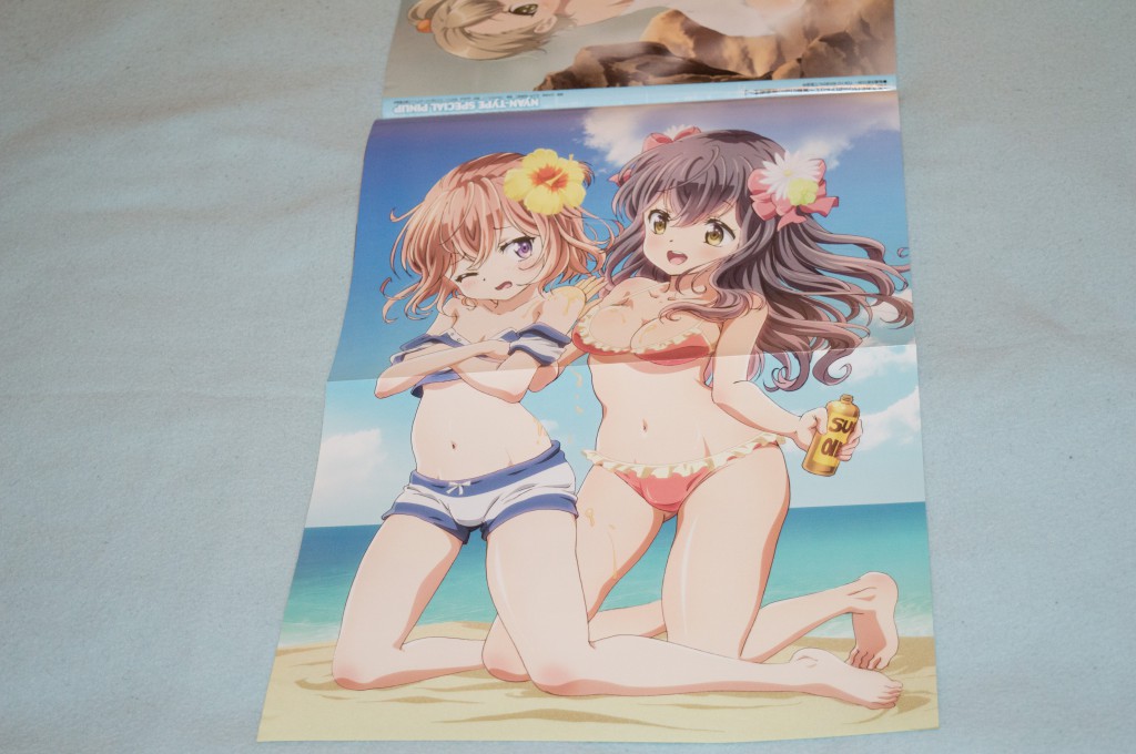 Haruhichan.com NyanType July 2014 posters bikini cleavage kanojo_ga_flag_o_oraretara mahougasawa_akane swimsuits touzokuyama_megumu trap 2