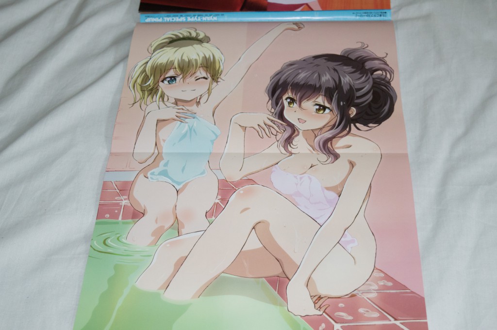 Haruhichan.com NyanType June 2014 posters  bathing cleavage kanojo ga flag o oraretara mahougasawa akane naked nanami knight bladefield towel 2