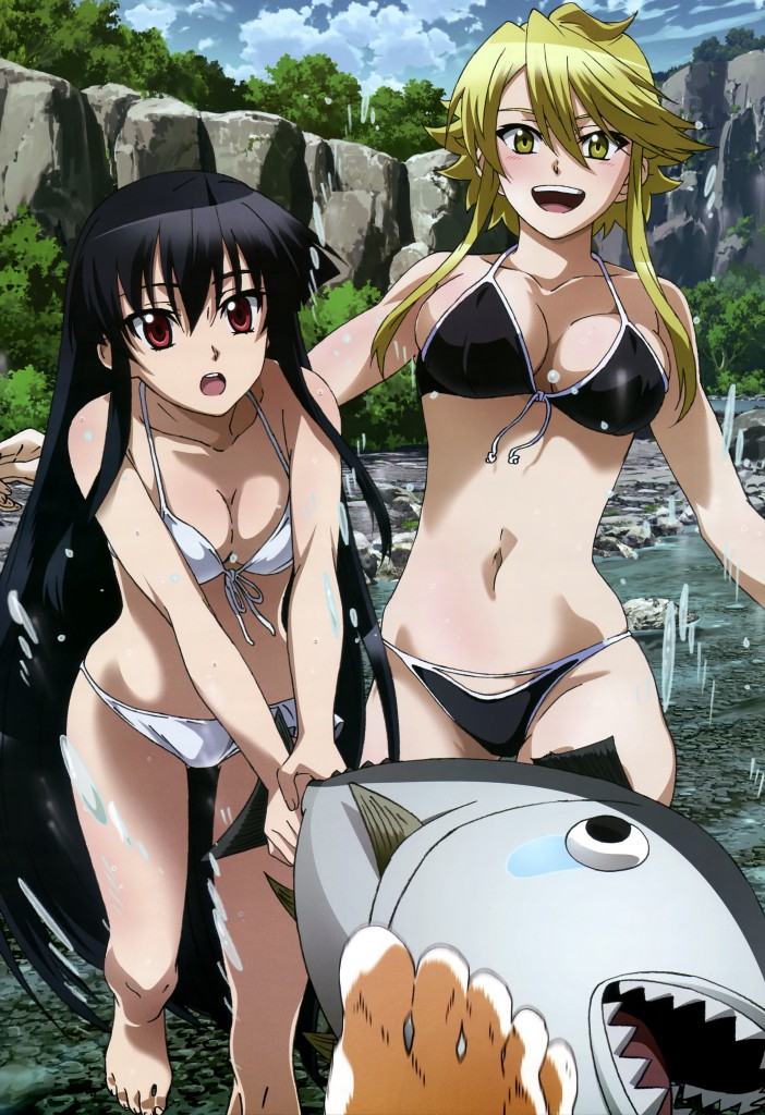 Haruhichan.com NyanType September 2014 posters akame akame_ga_kill! bikini cleavage leone nakamura_kazuhisa swimsuits