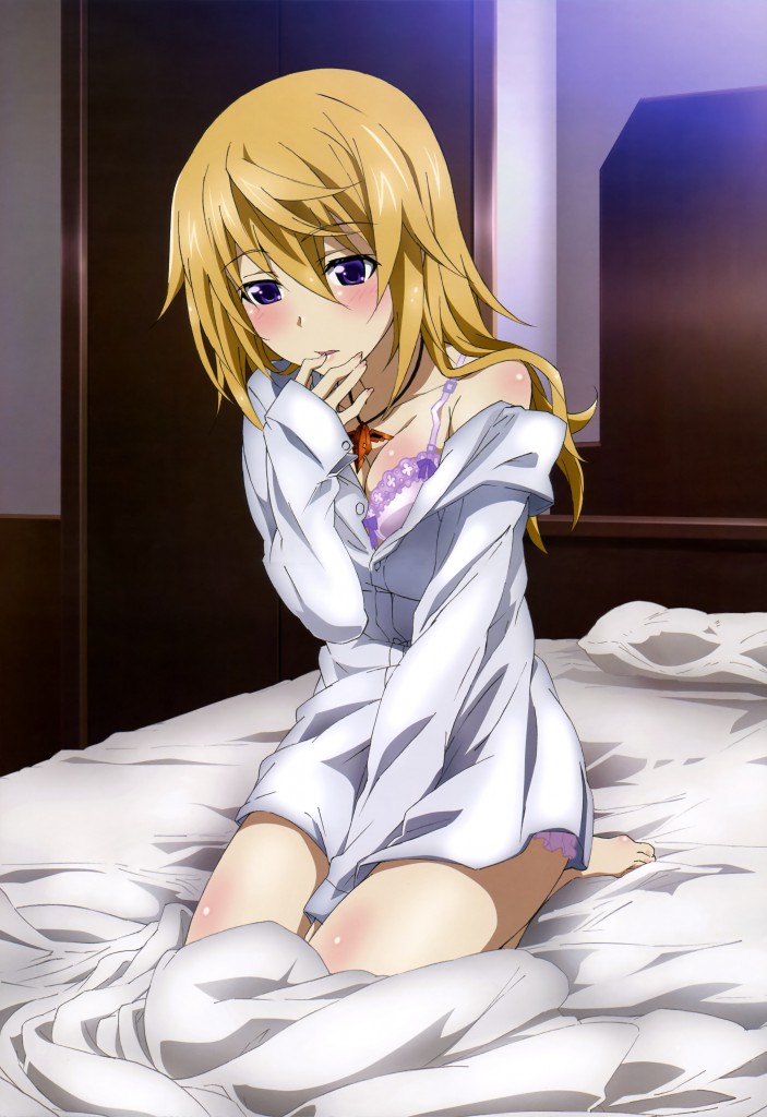 Haruhichan.com NyanType September 2014 posters bra charlotte_dunois cleavage dress_shirt infinite_stratos pantsu