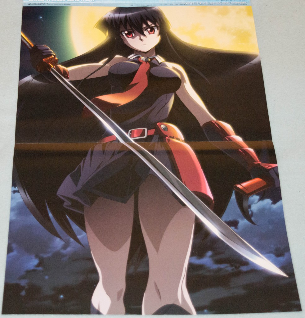 Haruhichan.com NyanType magazine August 2014 posters akame akame_ga_kill! sword 2