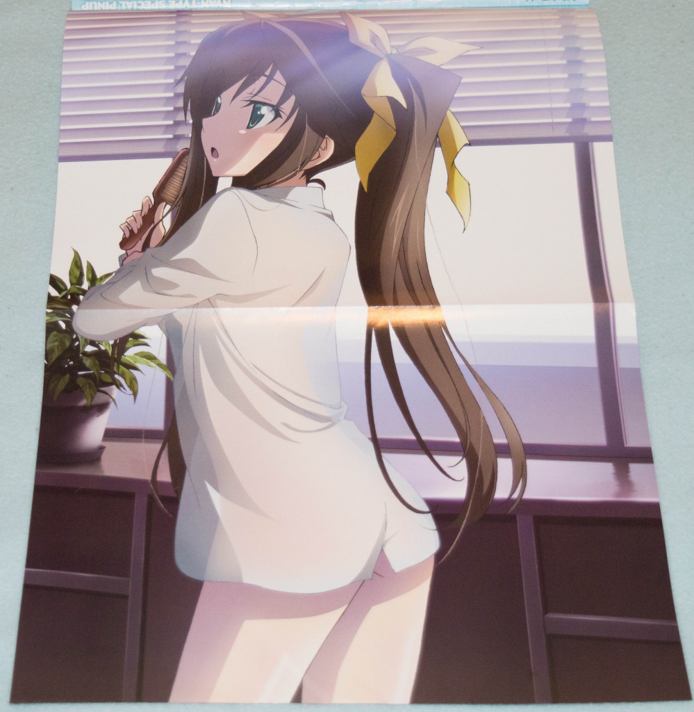 Haruhichan.com NyanType magazine August 2014 posters bottomless dress_shirt huang_lingyin infinite_stratos no_bra see_through 2