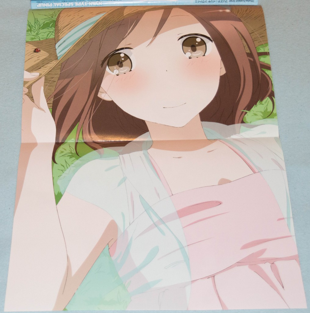 Haruhichan.com NyanType magazine August 2014 posters fujimiya_kaori isshuukan_friends 2