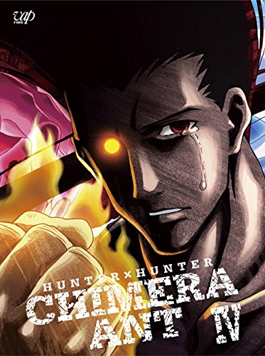 Hunter × Hunter (2011) (Anime) –