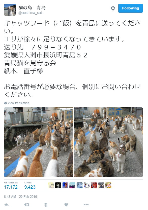 Japan's Cat Island Asks For Food And The Response Is Amazing 3