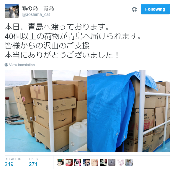 Japan's Cat Island Asks For Food And The Response Is Amazing 5