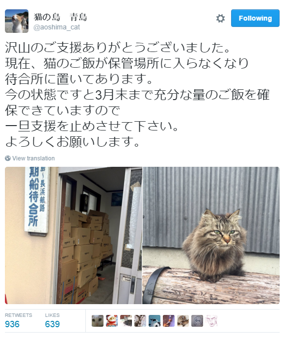 Japan's Cat Island Asks For Food And The Response Is Amazing 6