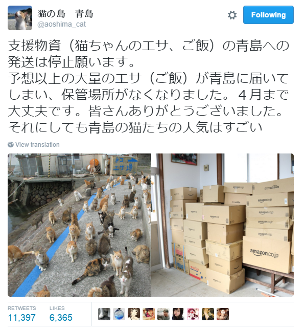 Japan's Cat Island Asks For Food And The Response Is Amazing 7