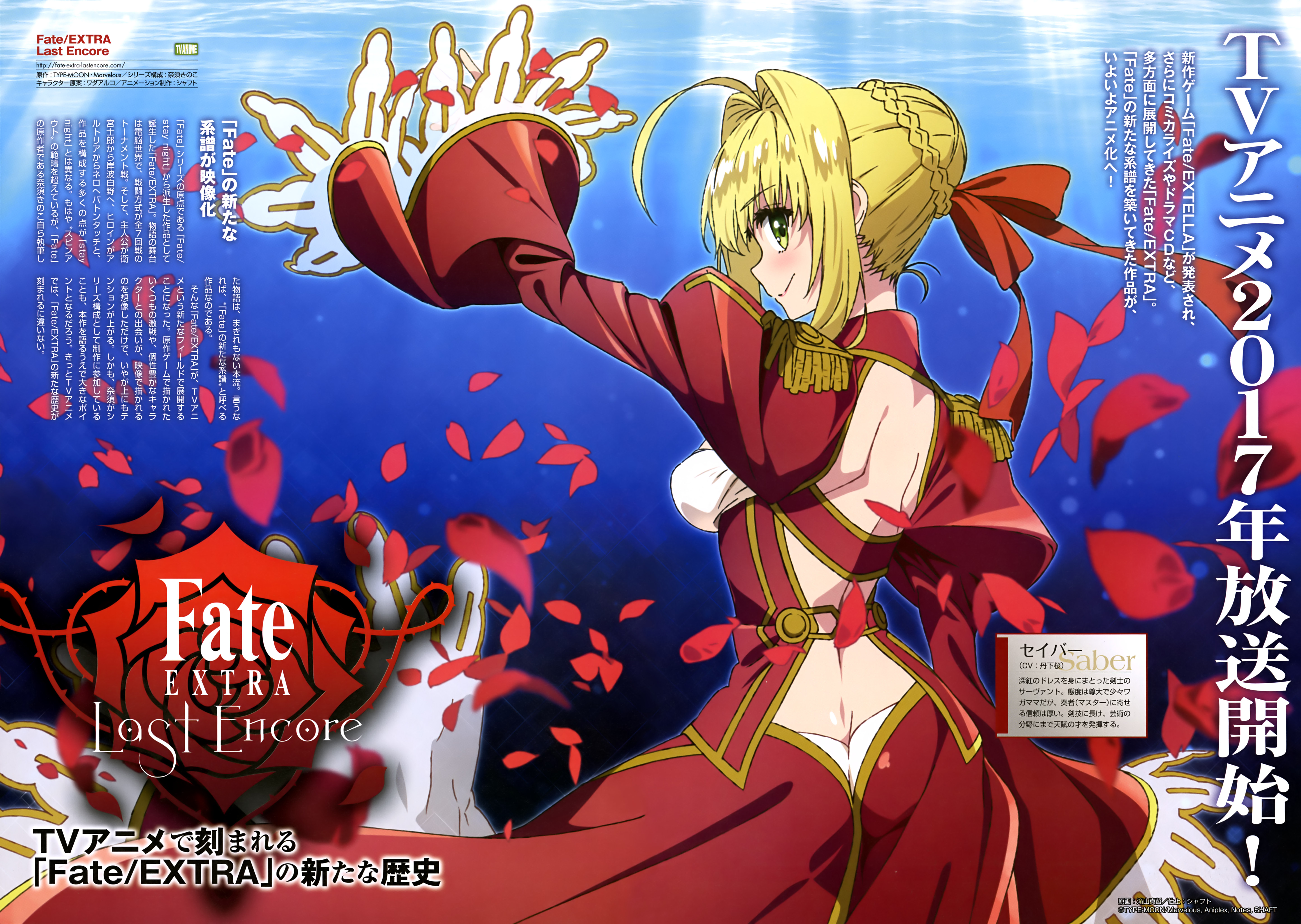 Fate/stay night Creator Kinoko Nasu Shares Thoughts on Fate/Extra