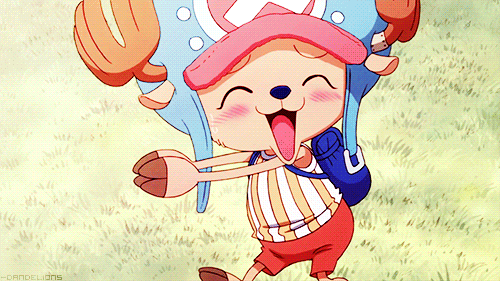 Top 20 Cutest Anime Mascot Characters According to Japanese Fans one piece chopper