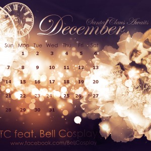 AIBTC Calendar 2014 – December