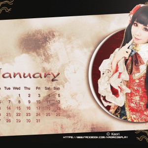 AIBTC Calendar 2014 – January