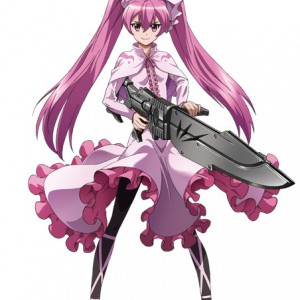 Akame ga Kill! – Mein