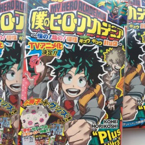 Boku no Hero Academia TV Anime Announcement Leaked