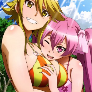 Haruhichan.com Megami MAGAZINE December 2014 anime posters Akame ga Kill!