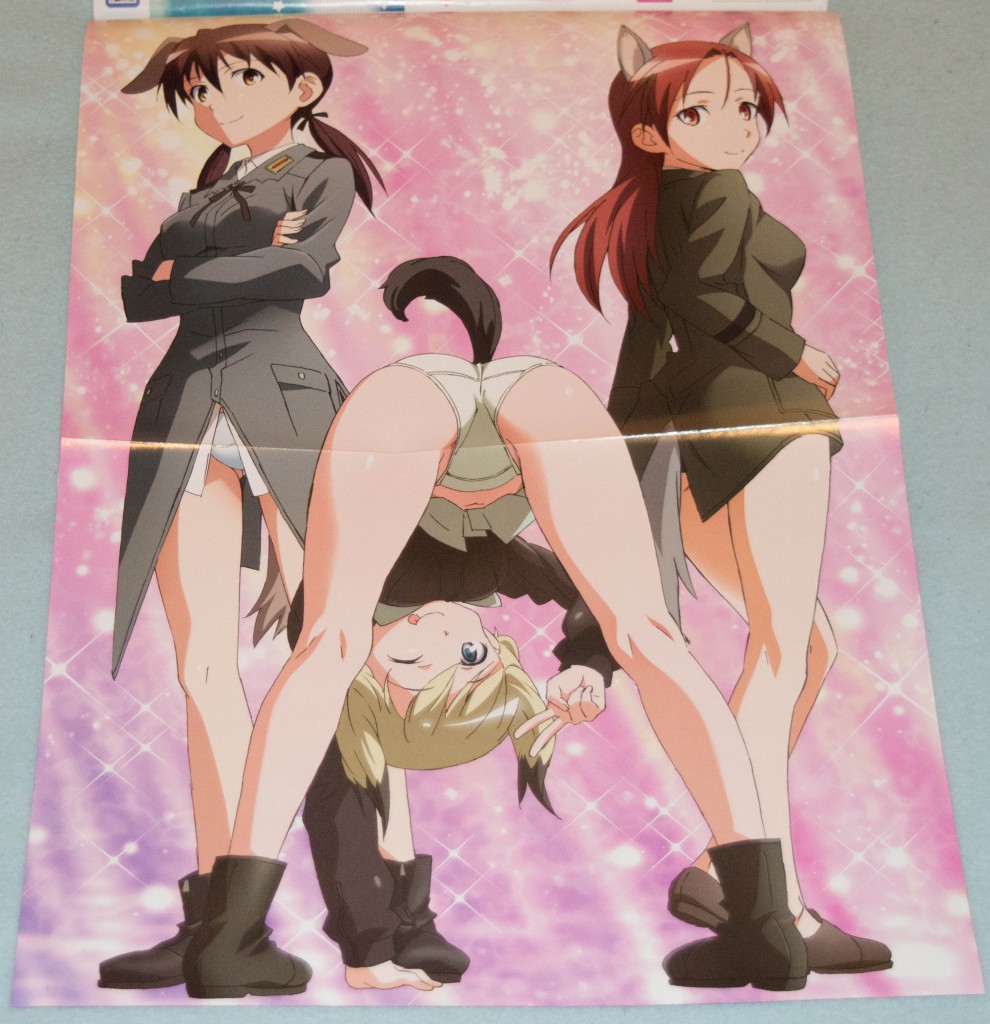 Haruhichan.com NyanType magazine August 2014 posters animal_ears ass erica_hartmann gertrud_barkhorn minna_dietlinde_wilcke pantsu strike_witches tail 2