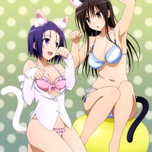 To-LOVE-Ru-Darkness-2nd-Magazine-Visual-2